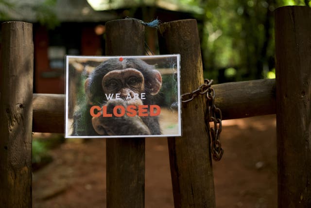 <p>The entrance to Tacugama Chimpanzee Sanctuary, closed to the public, is pictured in Freetown, Sierra Leone June 21, 2025</p>