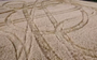 British farmer’s year-long wheat crop destroyed by vandals 