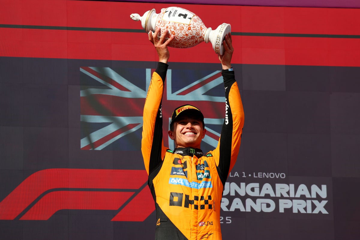 The strategy that helped Lando Norris to Hungarian Grand Prix victory