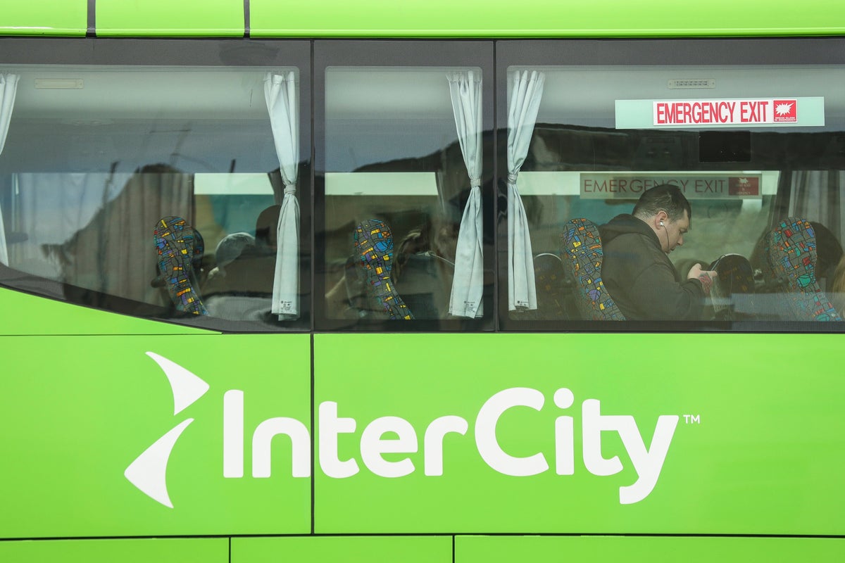 Police arrest woman after toddler found alive in suitcase stowed in bus luggage compartment