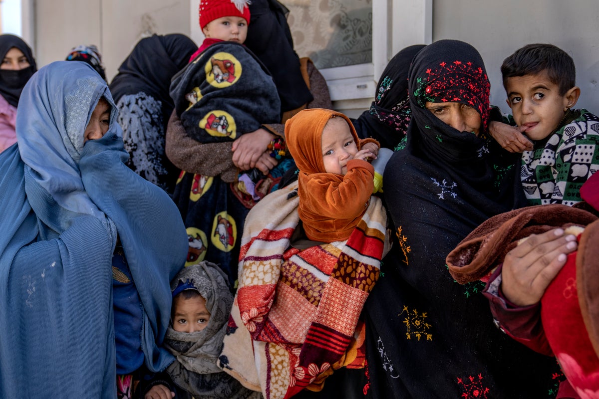 Afghanistan has its 'sharpest surge' ever of child malnutrition, UN agency says