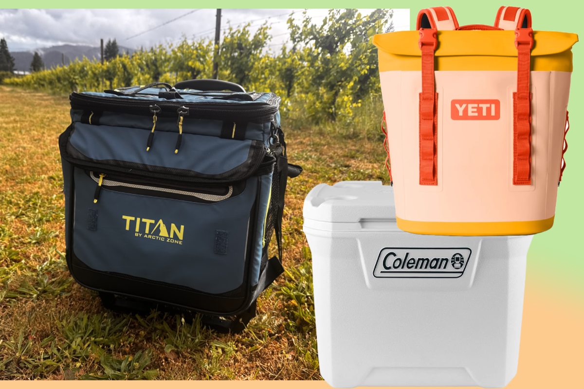 Best coolers for camping trips, tailgates, and more