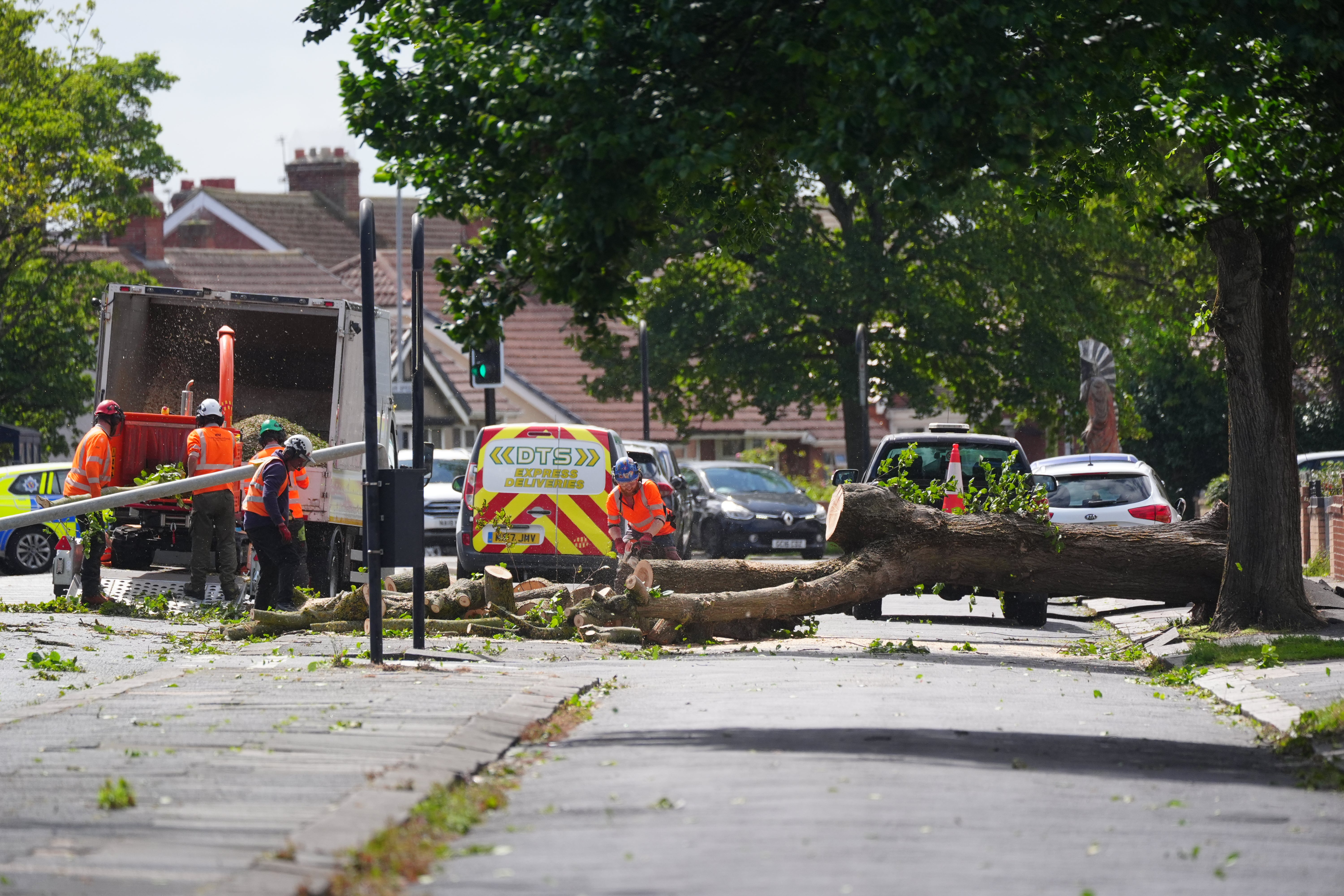 Workers cut a tree, which fell from the air in Blyth, North -North