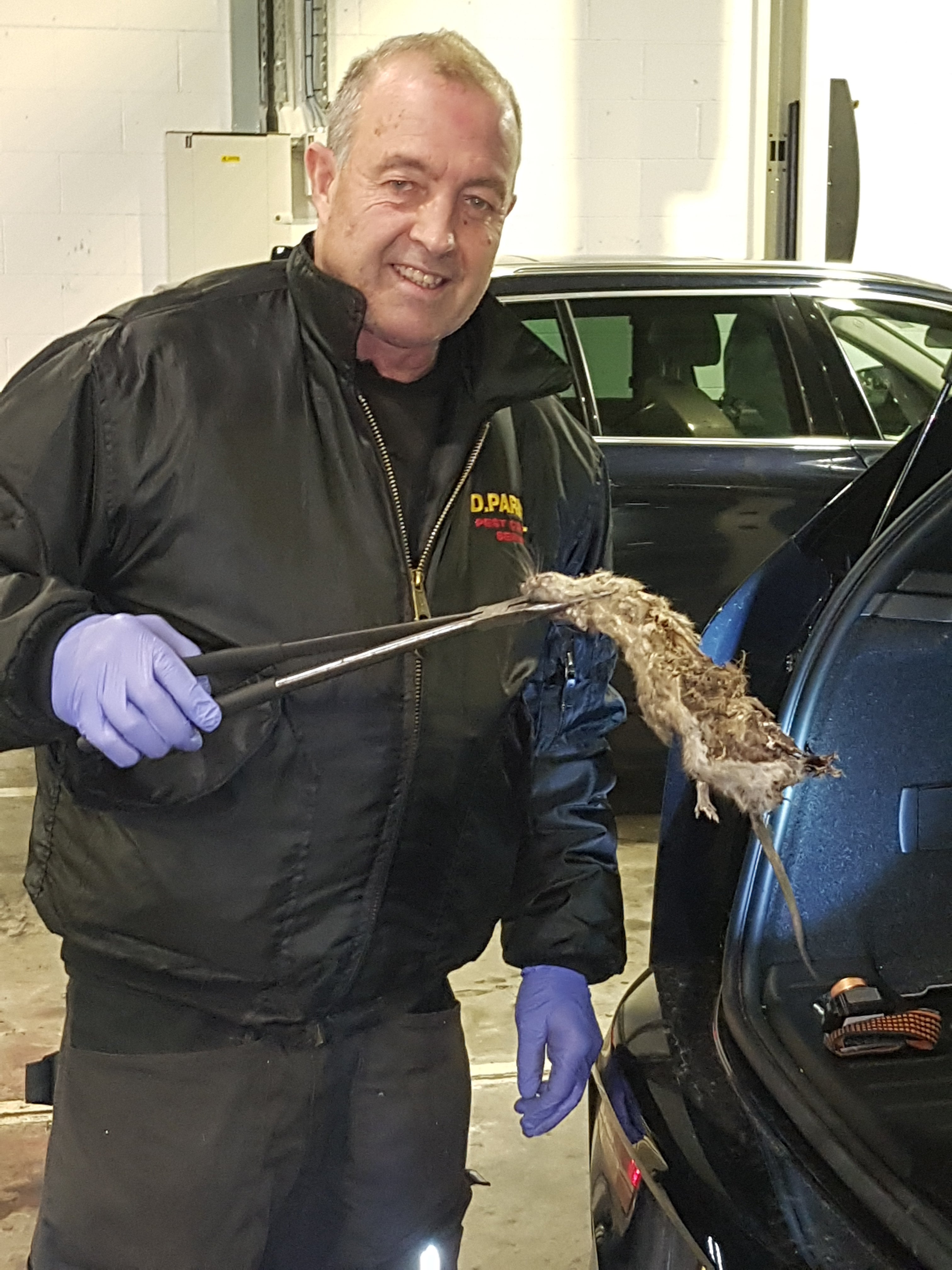 Pest controller David Parnell found that call-out growth for rat infections