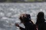 Storm Floris live: Rail chaos to continue Tuesday amid 90mph winds