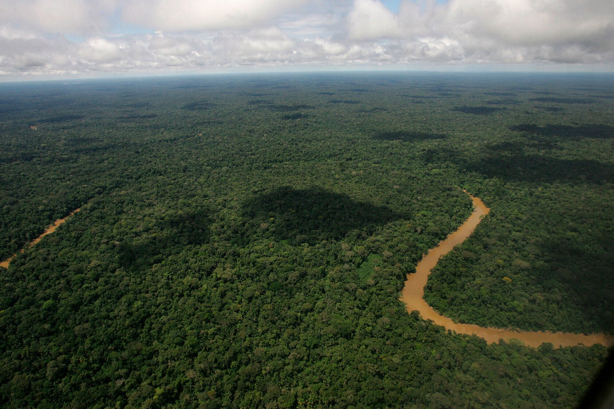 In Ecuador, environmentalists worry Noboa is unwinding nation's green reputation