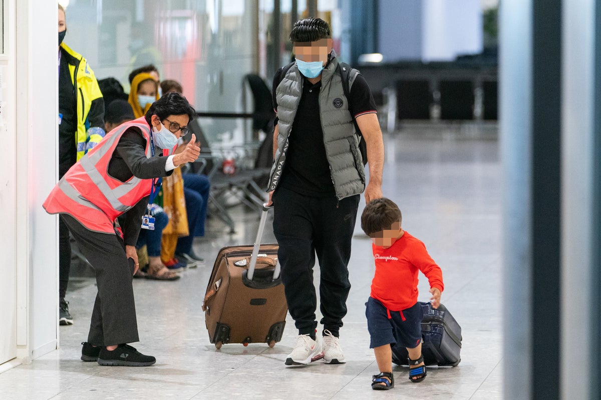 https://static.independent.co.uk/2025/08/04/8/13/GettyImages-1234875505.jpeg?width=1200&height=800&crop=1200:800