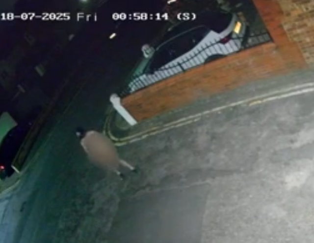 <p>Footage of a naked man in a mask walking the streets at night in Lytham</p>