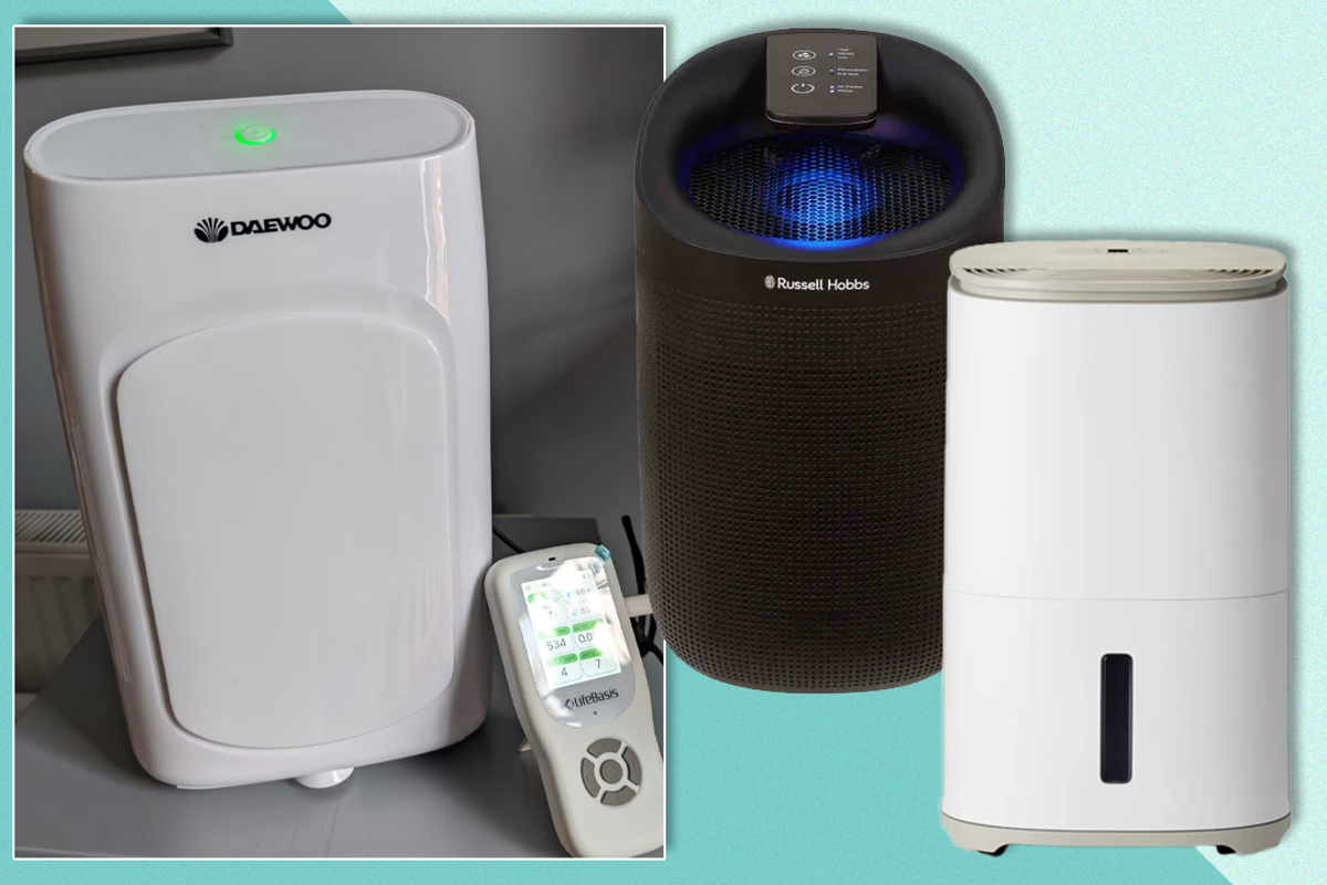 Best dehumidifiers for 2025, expert-tested to tackle damp and mould
