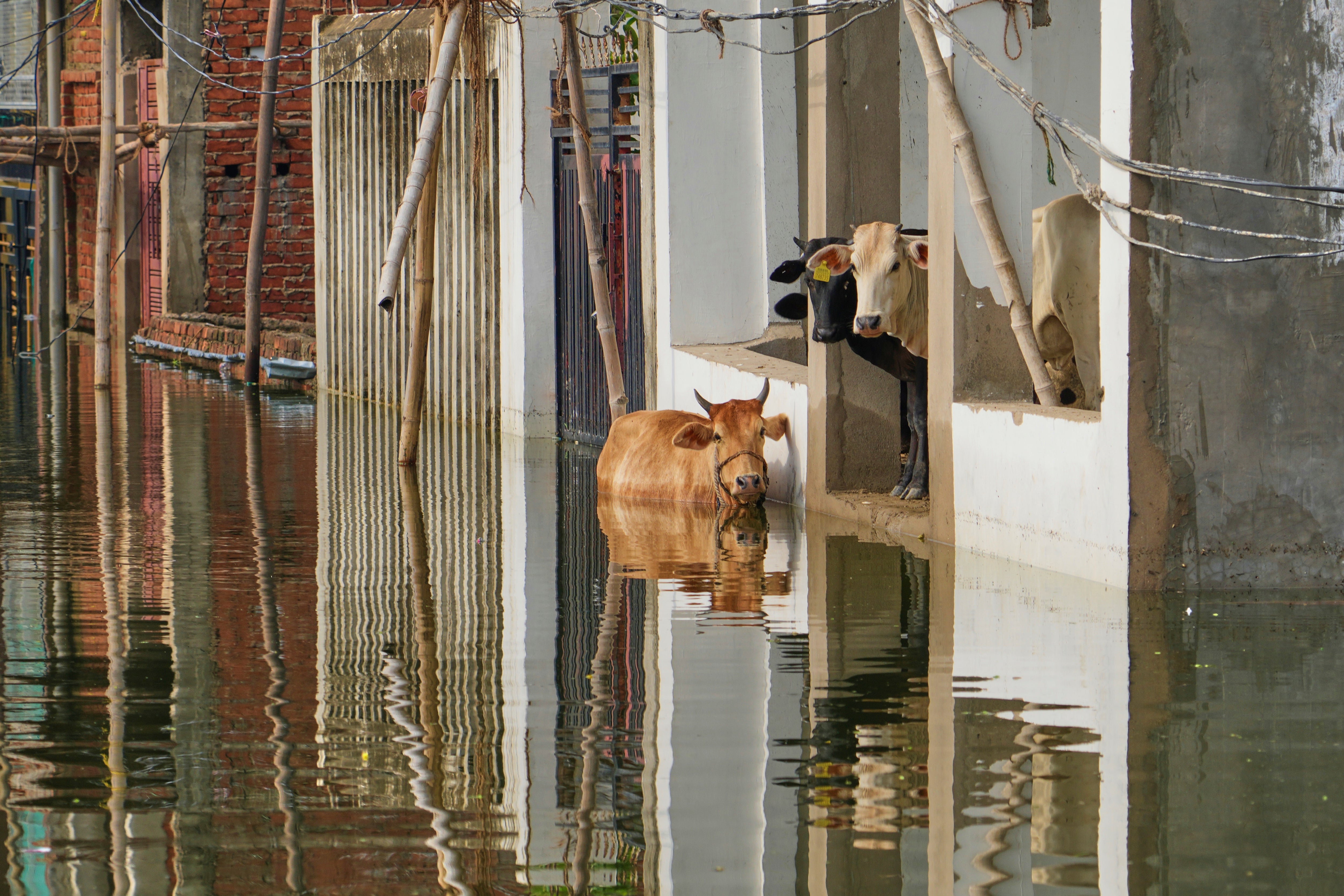APTOPIX India Monsoon Flooding