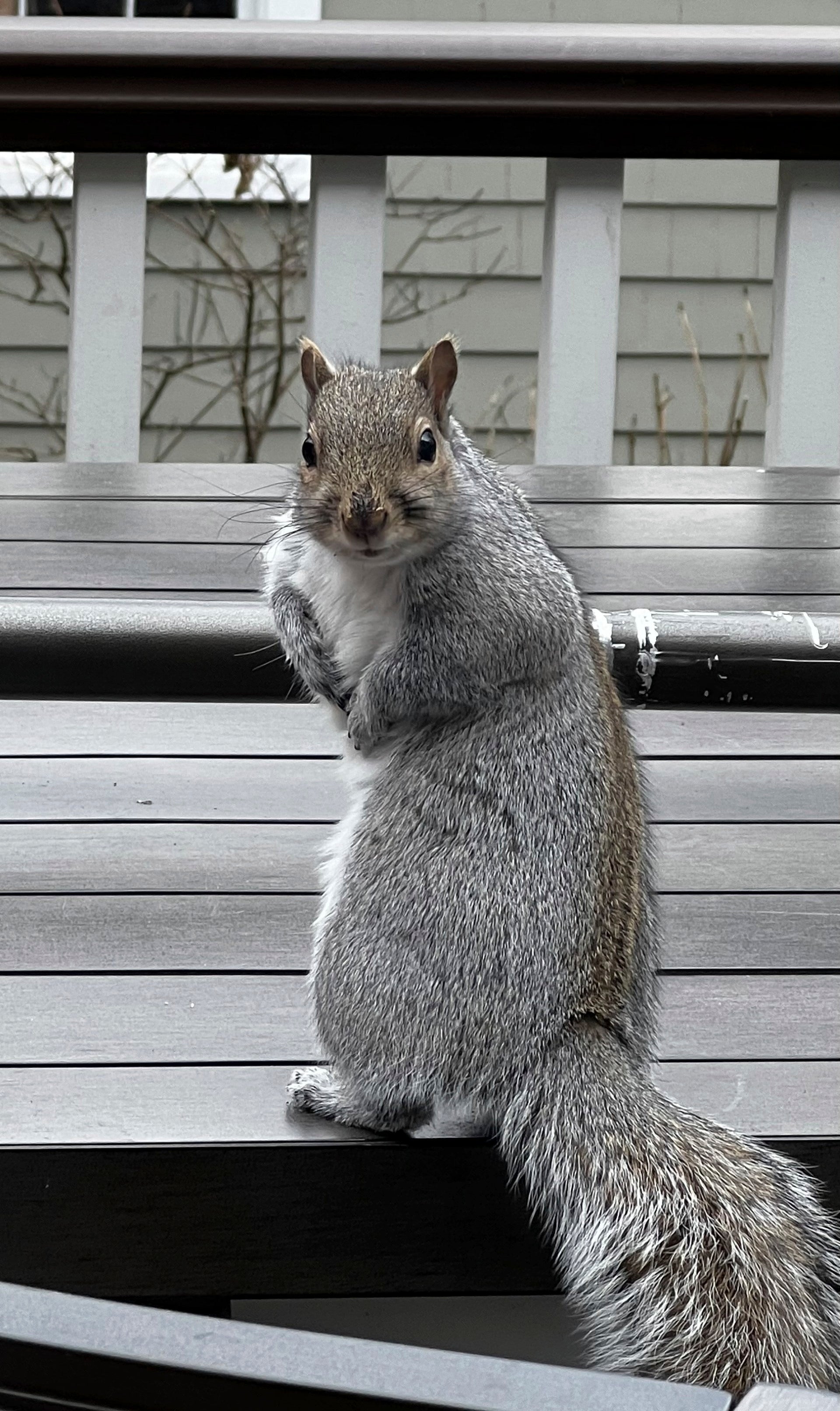 Gardening- Humane Pest Control