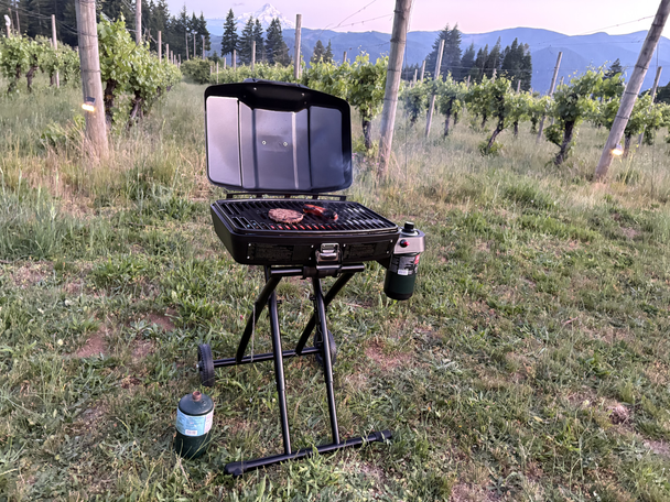 Rachel Cavanaugh/The Independent