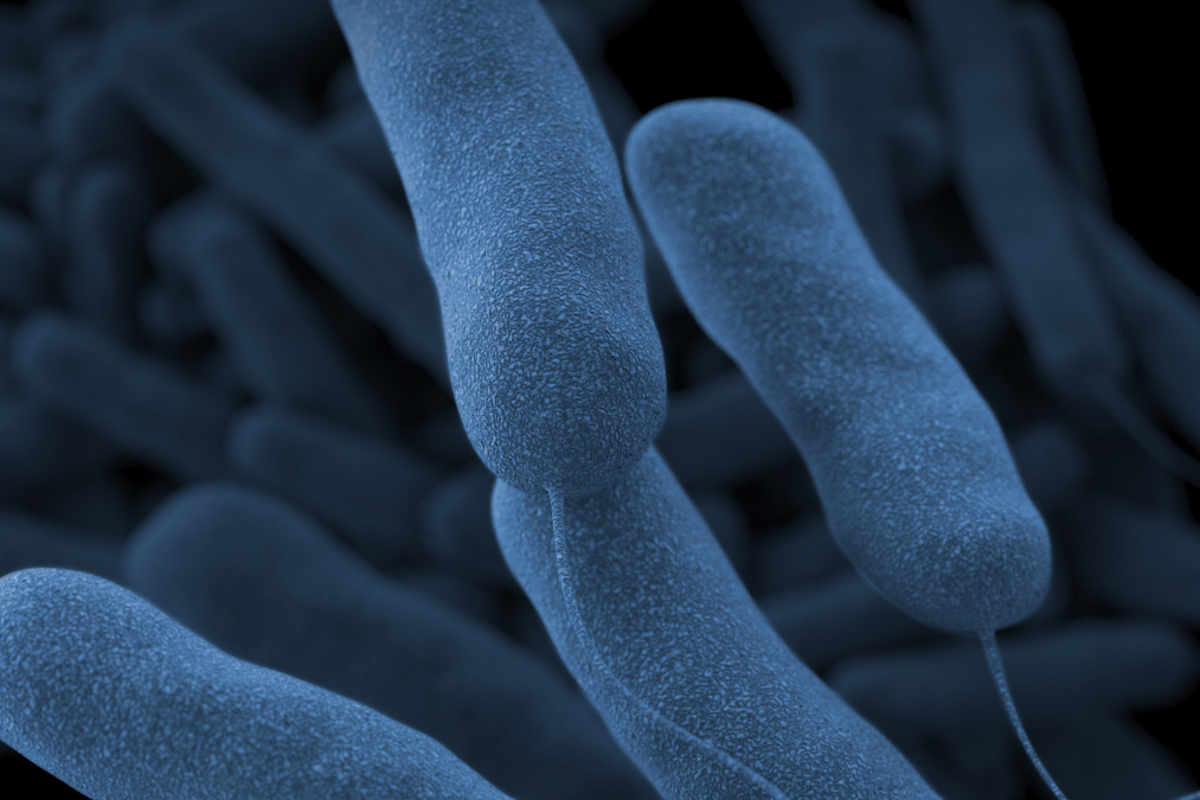 Legionnaires’ disease outbreak in New York City leaves 7 dead and more than 100 infected