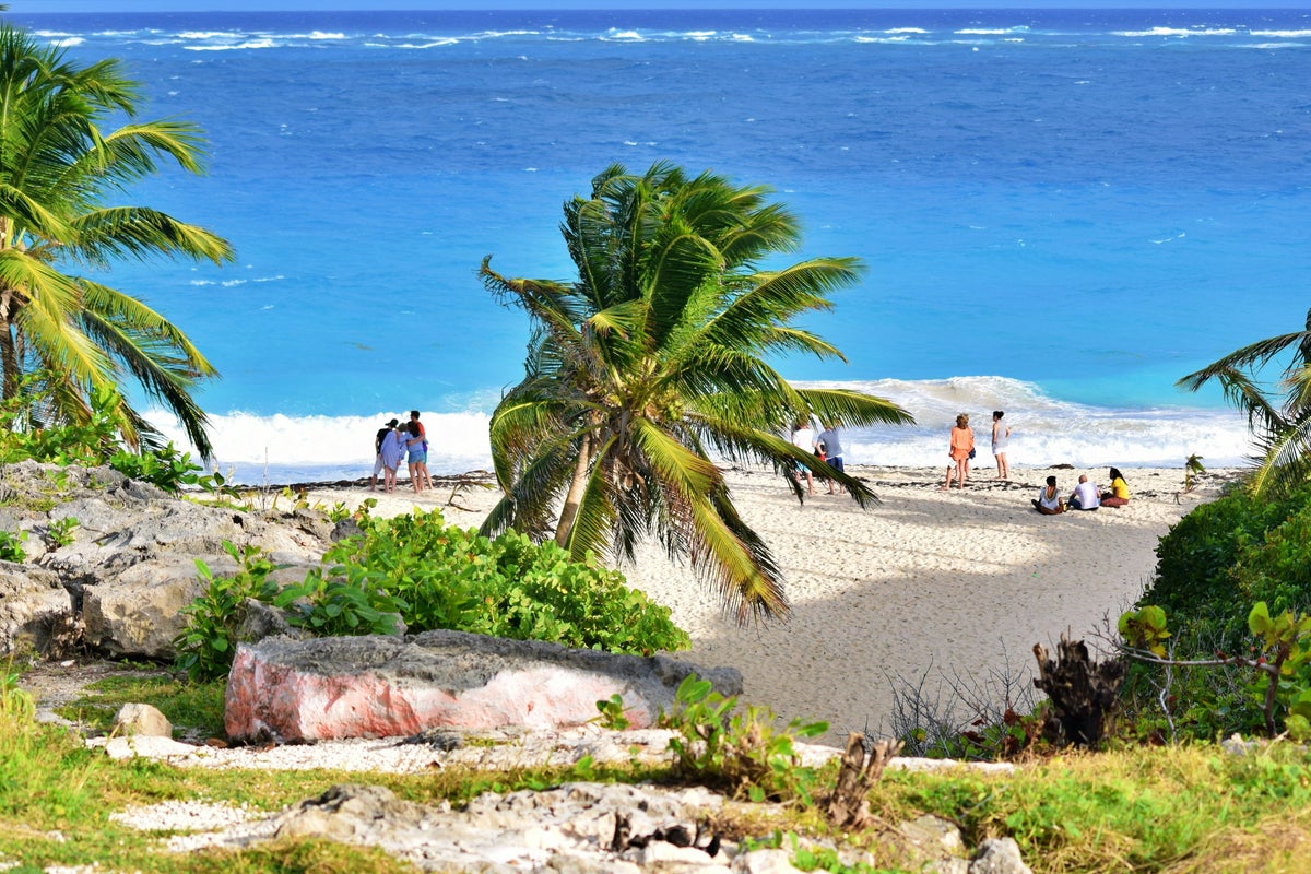 12 best things to do in Barbados, from snorkelling to exploring rum distilleries