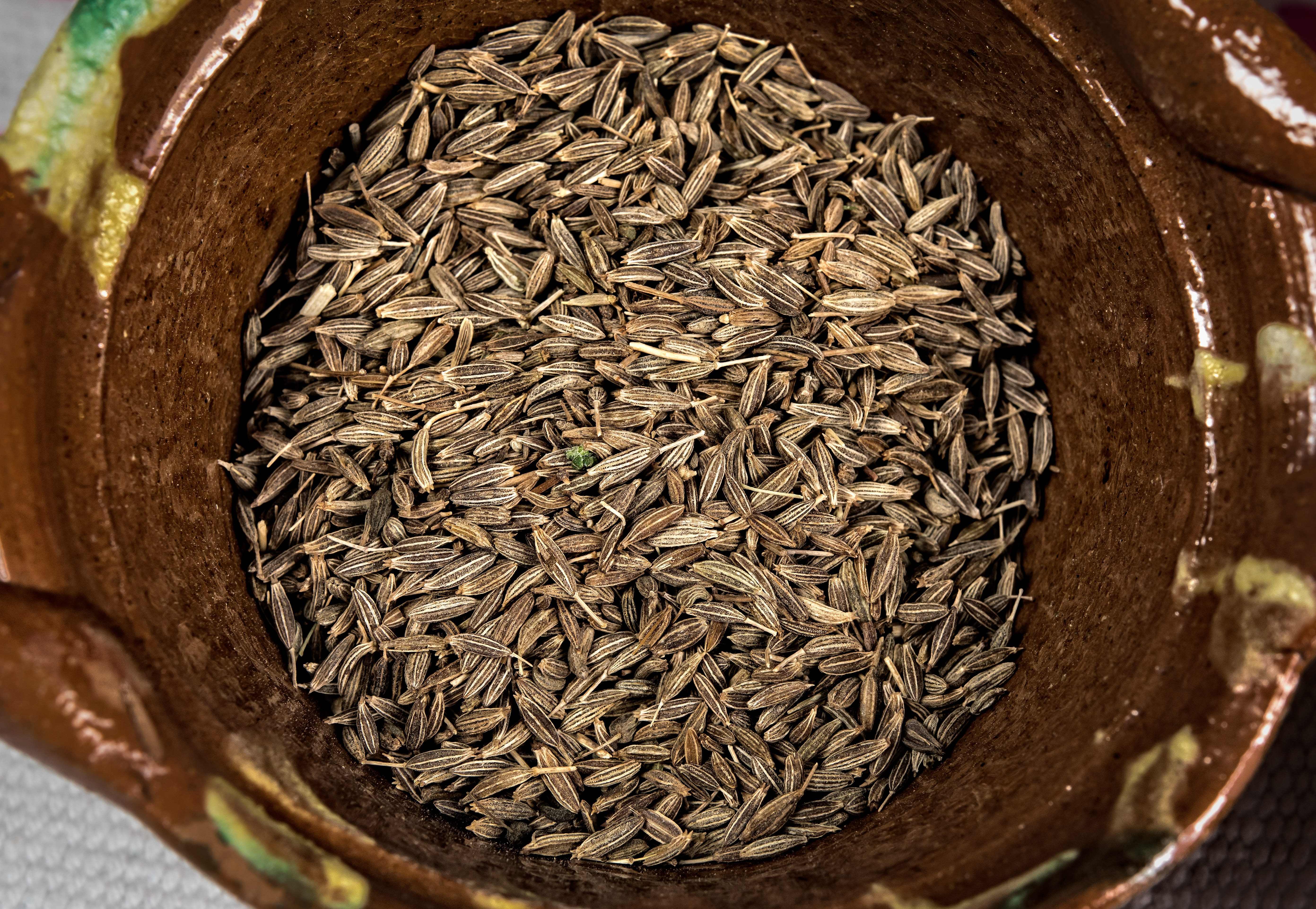 Cumin seeds come from ground plants. But, people should grind up the seeds to best reap cumin’s benefits