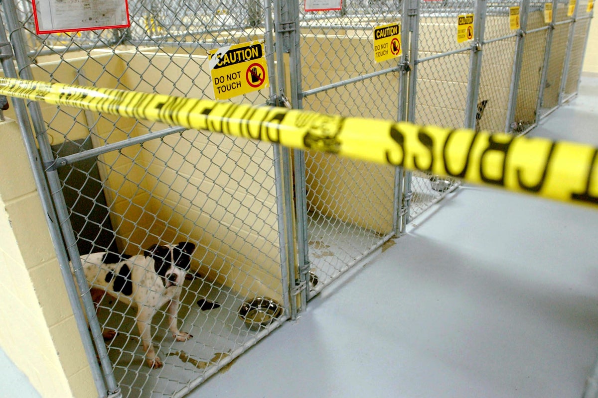 Former NFL player convicted in large-scale dogfighting operation in Oklahoma