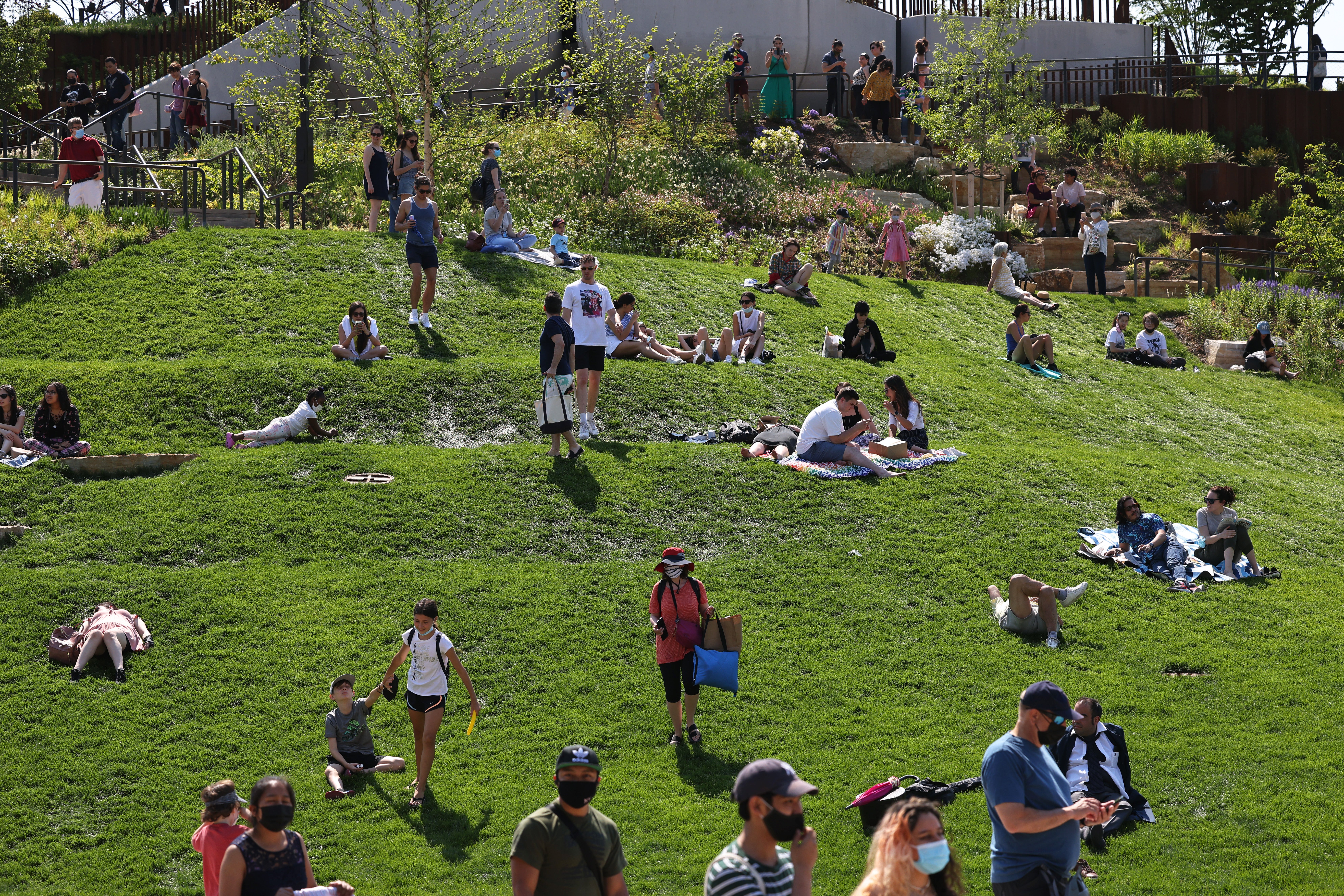 Go out and touch grass! Stanford researchers say just 15 minutes outside can boost city dwellers’ mental health