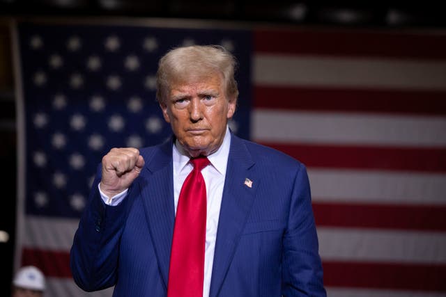 <p>Trump has put a particular emphasis on prices at the pump</p>