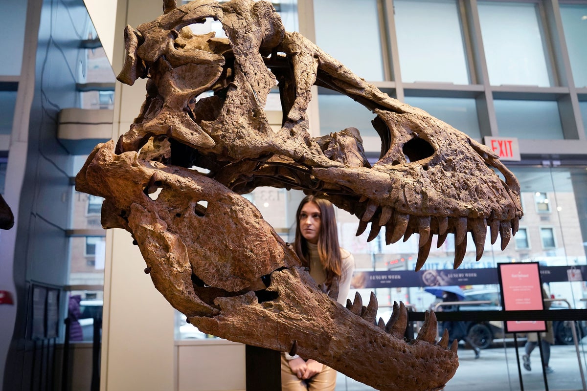 Not all fierce-looking dinosaurs like T rex packed strong bites, study reveals