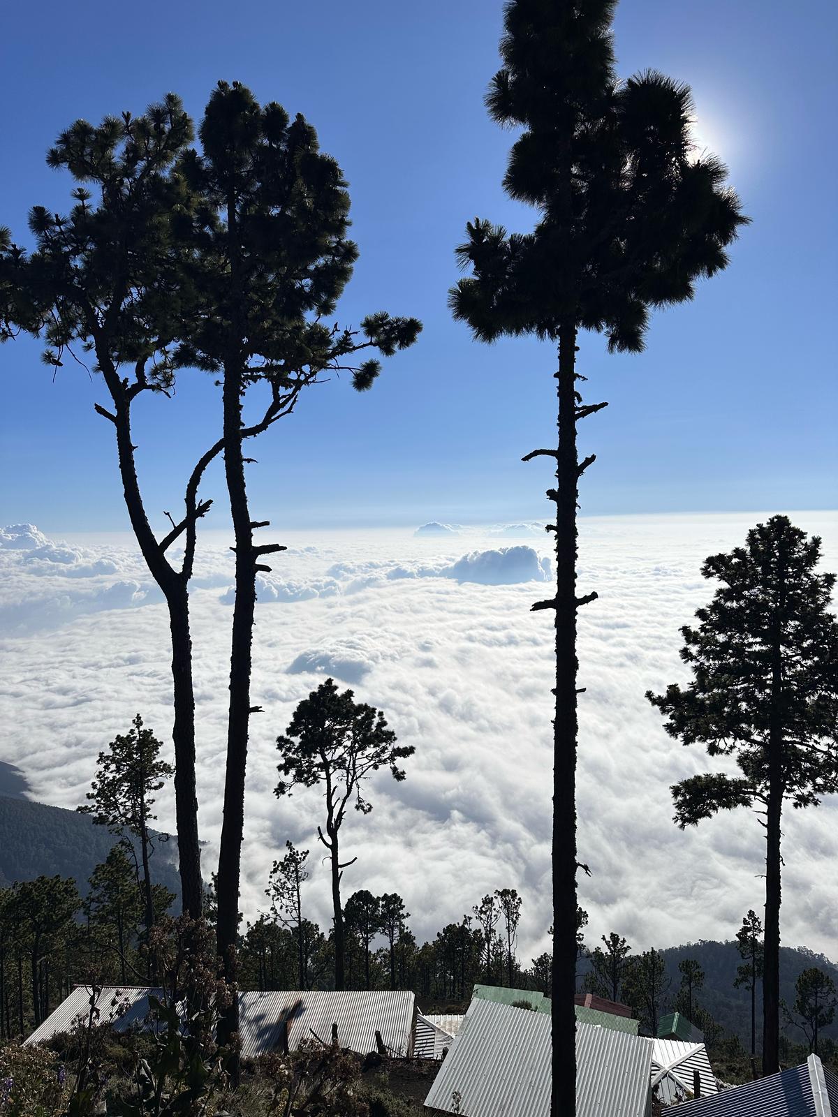 Cloud forest in the walking fireplace of Guatemala