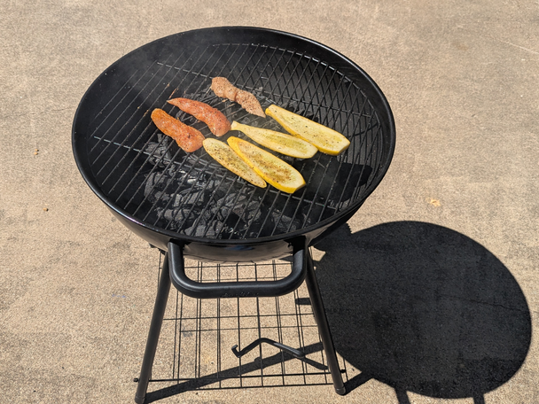 Best grills for 2025, tried and tested indybest tester image