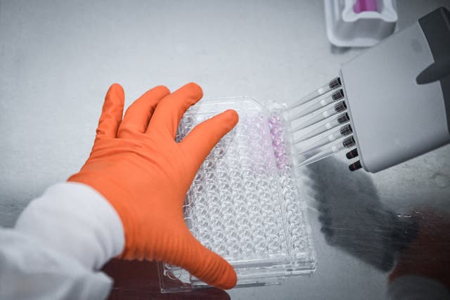 <p>Un científico trabaja en un laboratorio de la empresa de biotecnología Hoxton Farms, en Londres, Reino Unido</p>