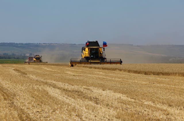<p>Farmers operate combines during the start of the wheat harvesting campaign in a field near the town of Starobilsk (Starobelsk) in the Luhansk Region, a Russian-controlled area of Ukraine</p>