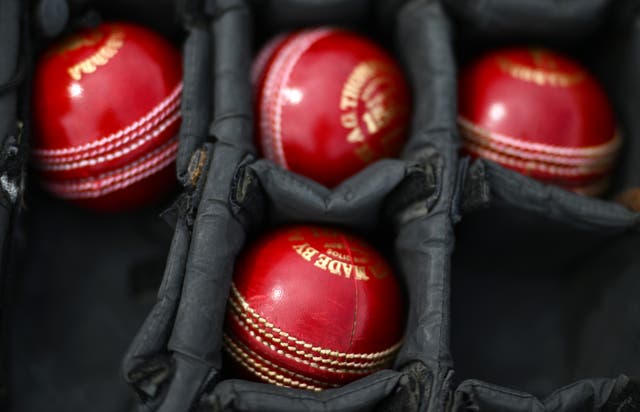 <p>The individual has been banned from cricket for nine months</p>