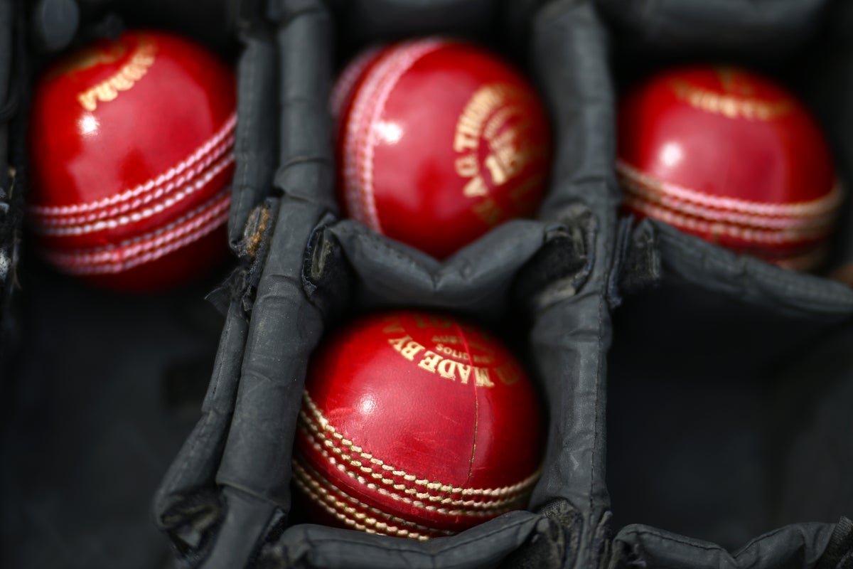 Ex-county coach suspended from cricket after sending unsolicited sexual images to female colleagues