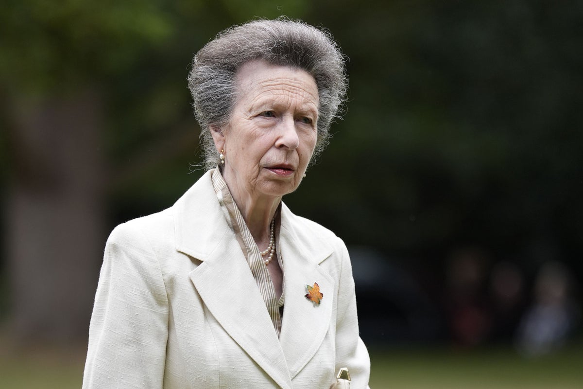 Princess Anne Visits Dublin, Meets President Higgins, Attends 150th Dublin Horse Show