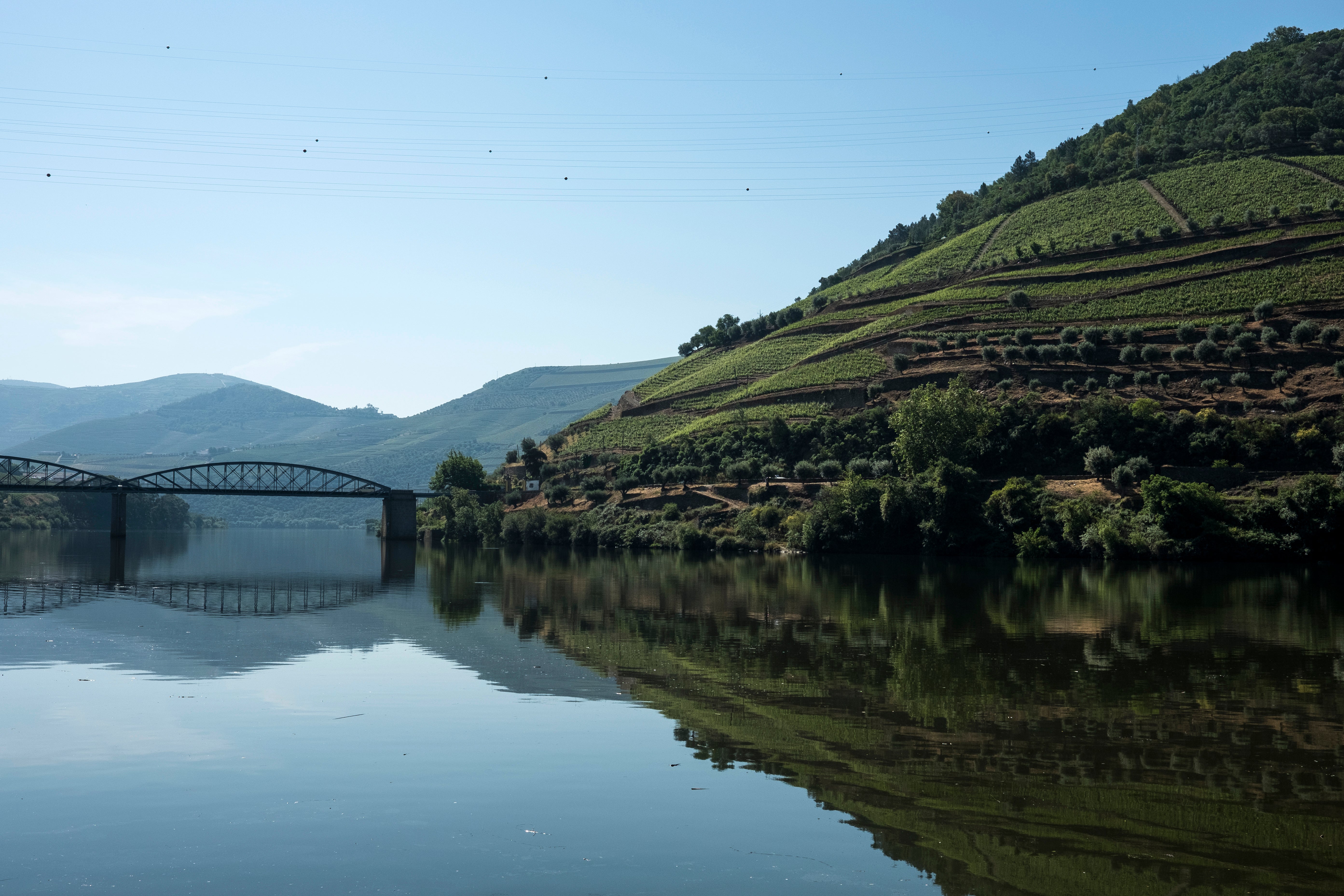 The lush environs of the Douro Valley are a must-visit for nature fans and foodies