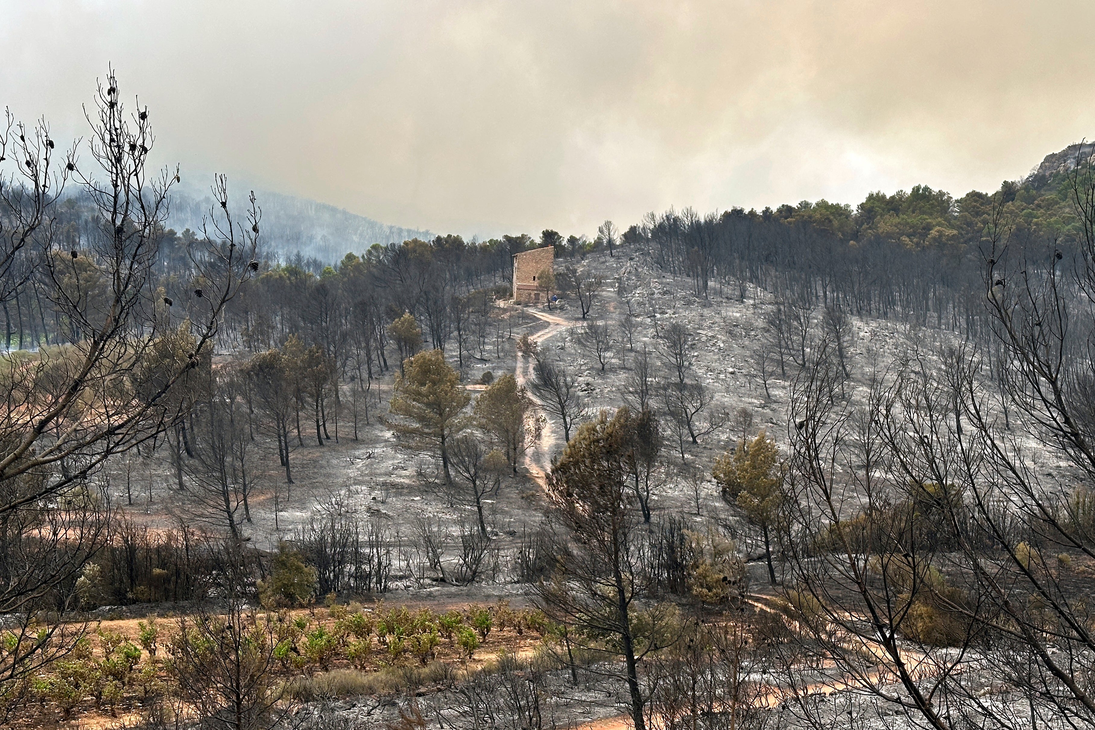 A house stands in the middle of burned trees during France's biggest wildfire this summer, near Durban-Corbieres, southern France, Wednesday, Aug.6, 2025. (AP Photo/Hernan Munoz)