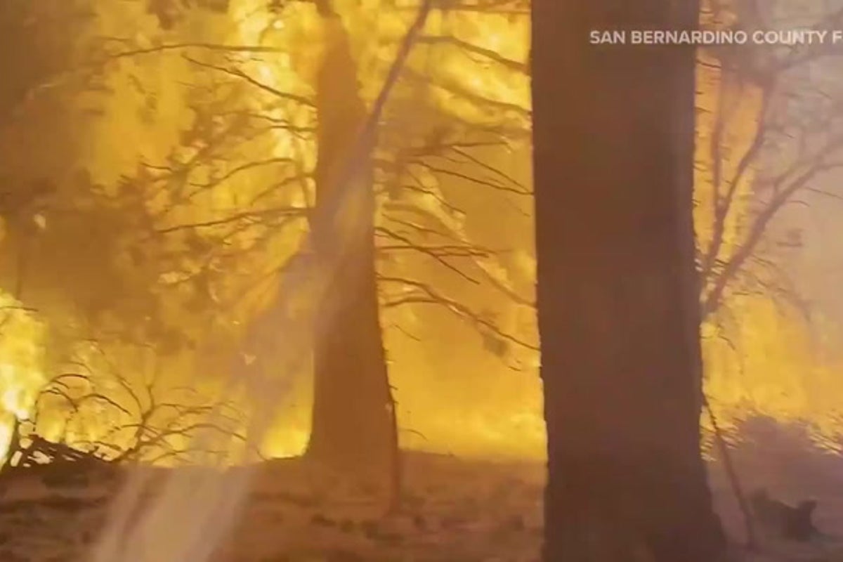 Dramatic video shows firefighters battling 991 acre wildfire in California