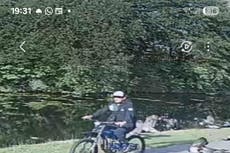 Man on e-bike kills goose after ploughing into birds in ‘horrific’ act