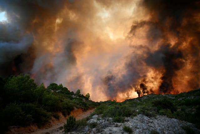 <p>Th fire spread across 16,000 hectares of land, making it the largest wildfire in France since 1949</p>
