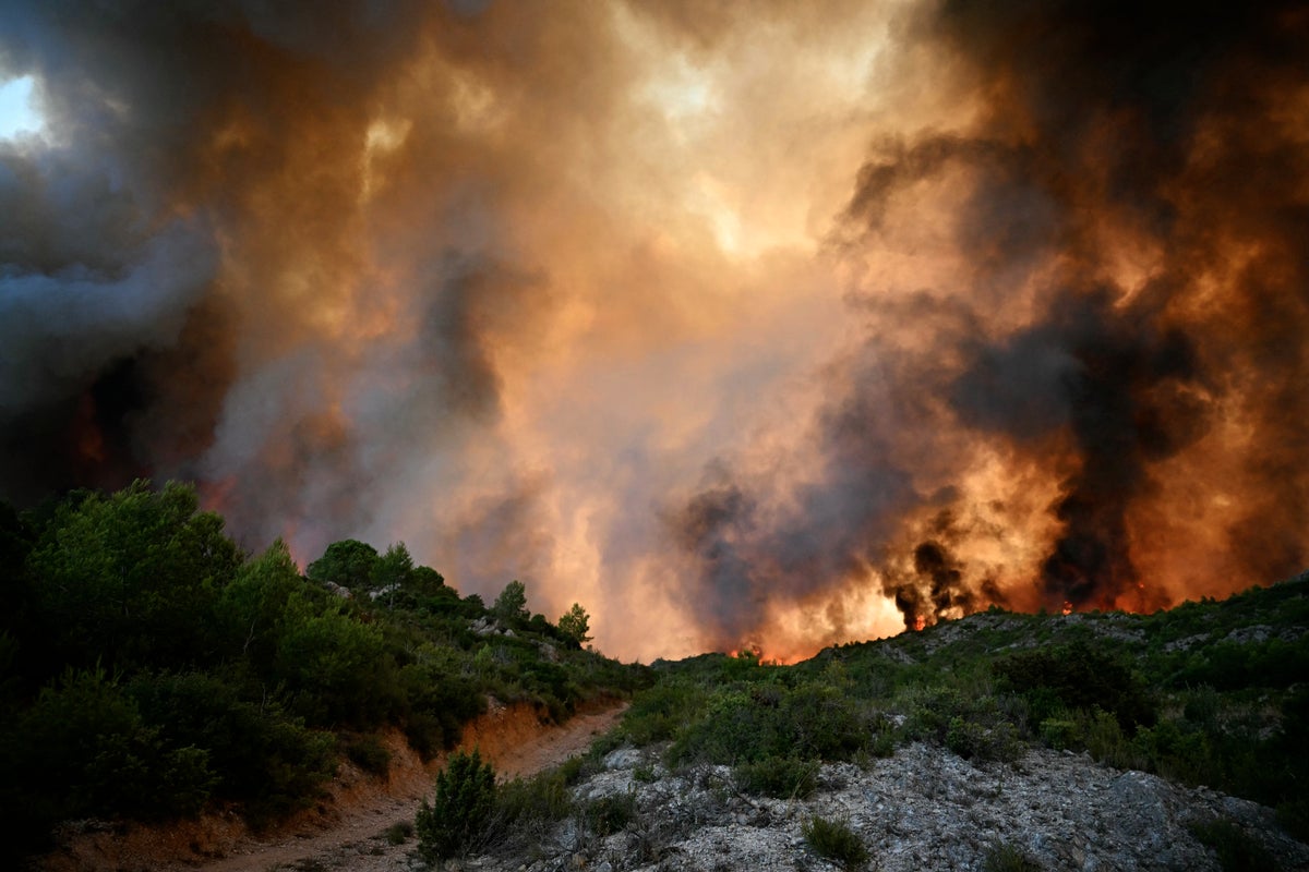 https://static.independent.co.uk/2025/08/06/8/31/FRANCE-FIRE-ENVIRONMENT-k4heg3cs.jpeg?trim=0,0,0,0&width=1200&height=800&crop=1200:800
