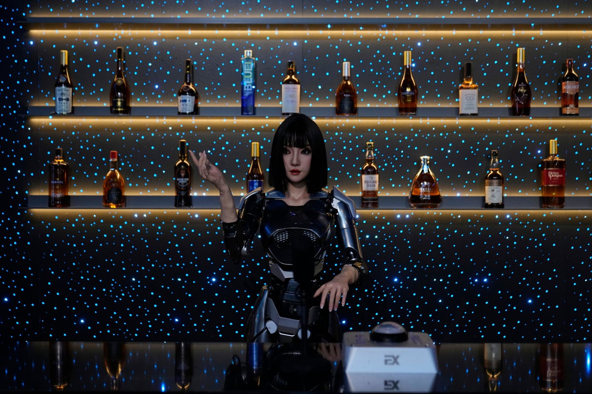 Shopping for a robot? China's new robot store in photos