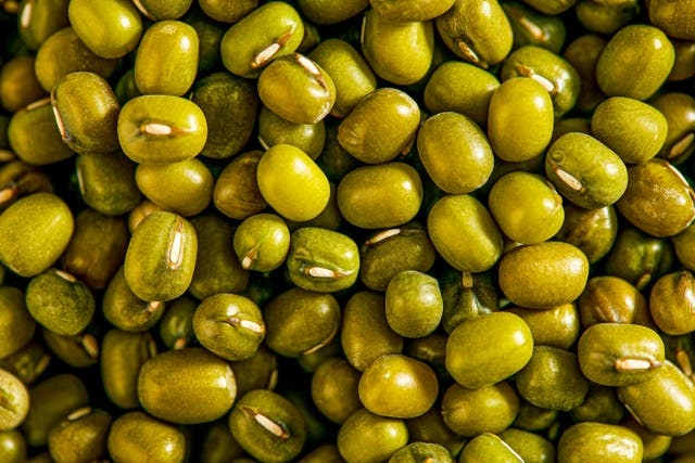 <p>This new vegan egg is made from mungo beans</p>