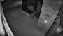 Moment bear uses door handle to walk into home