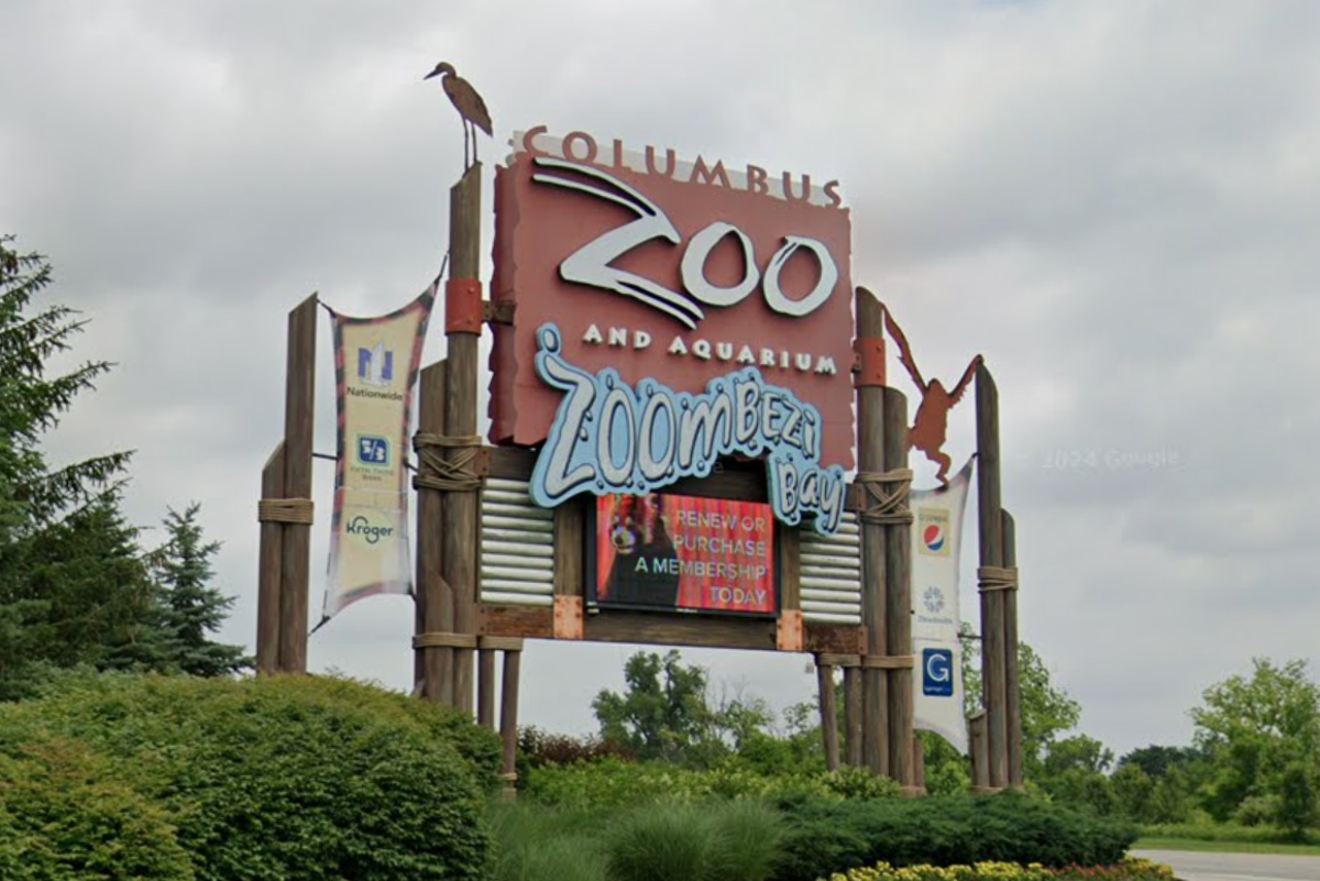 Ohio zoo gets catty and sues town over new $1 tax on memberships
