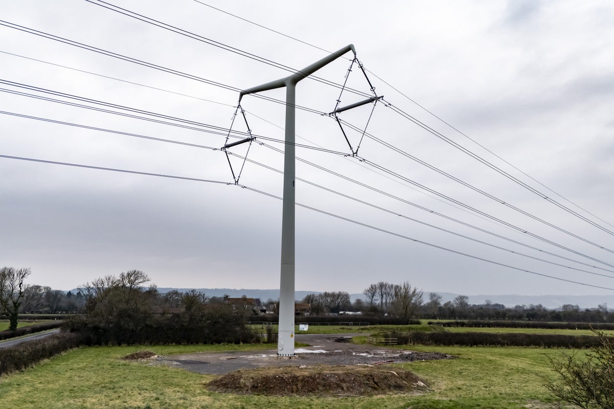 Households living near new pylons could get £250 a year off bills for a decade