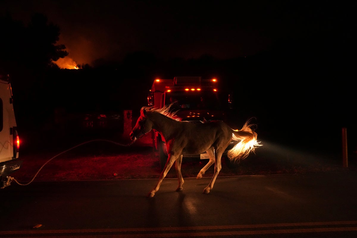 Photos of the scenes after Canyon Fire ignited
