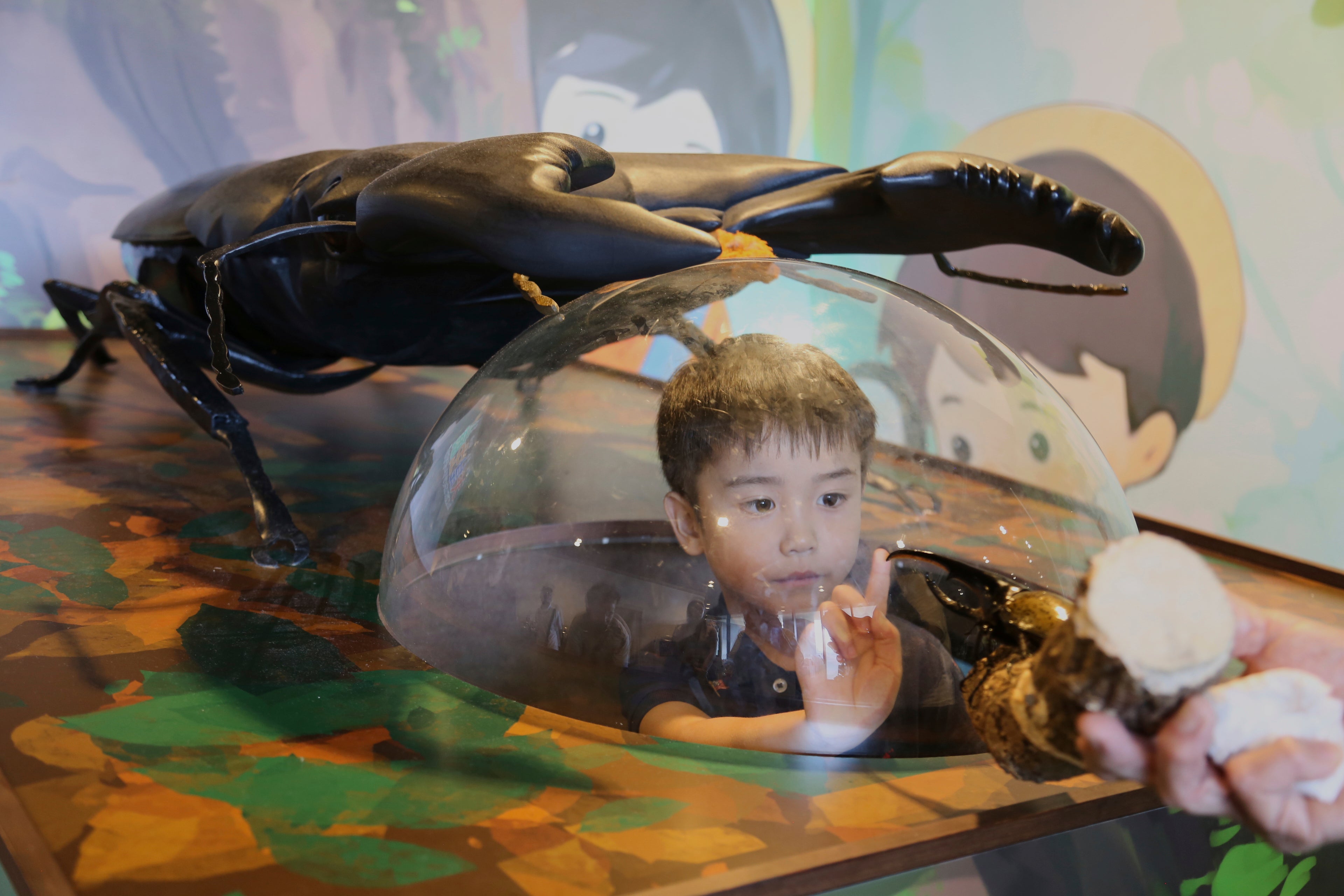 Asahi Yamauchi, 4, looks at a beetle and plays at an exhibition devoted to insects in Tokyo, Thursday, July 31, 2025. (AP Photo/Yuri Kageyama)