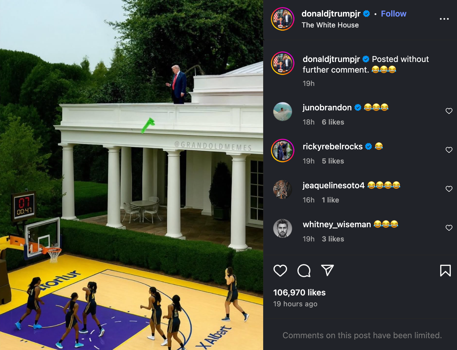 Donald Trump Jr posts a meme of his father throwing a green dildo from the White House roof onto a WNBA court on Thursday August 7 2025