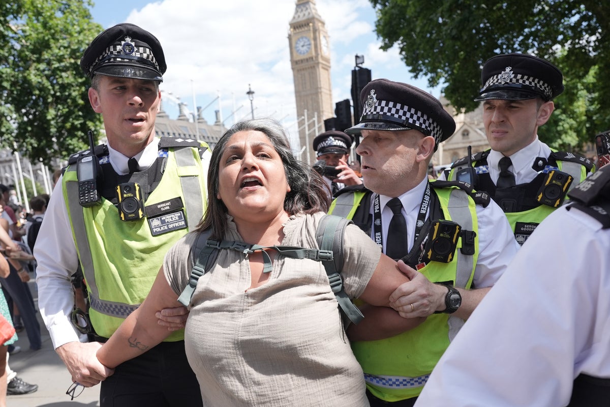 London protests: Police swoop to make arrests as hundreds rally in support of Palestine Action