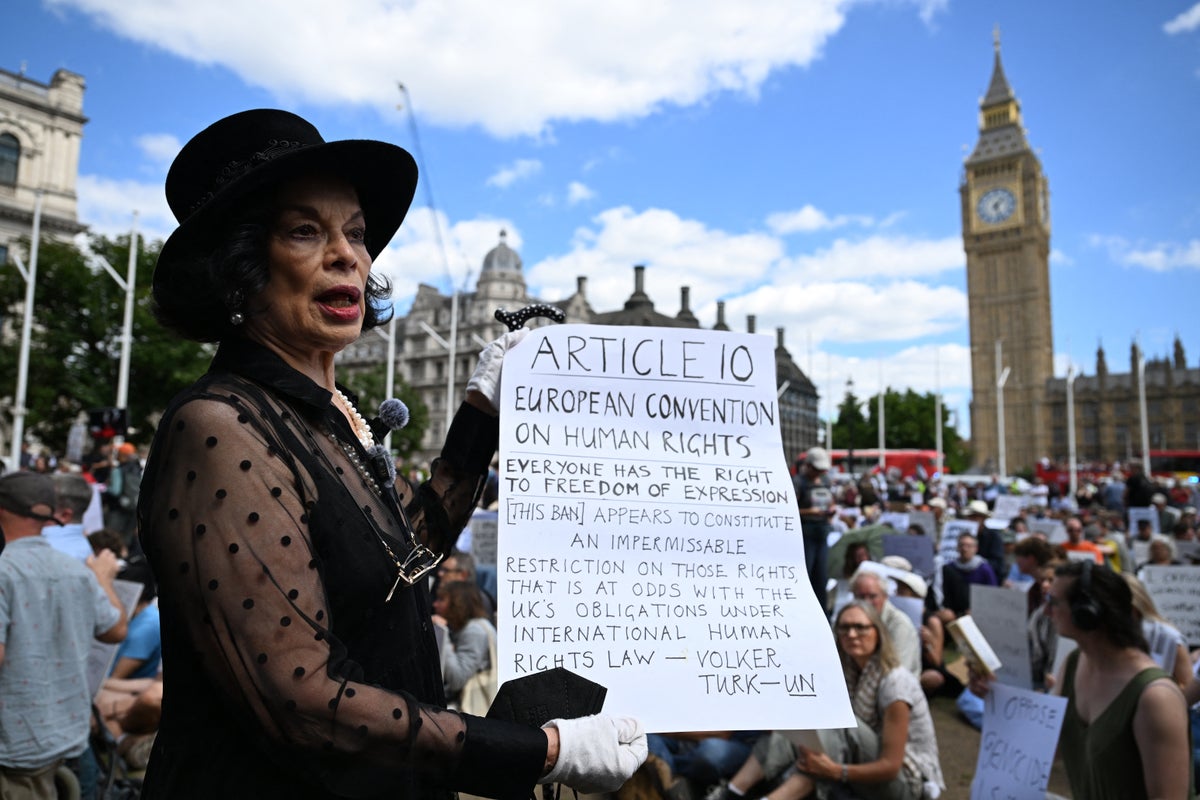 Voices: I watched the police arrest hundreds of peaceful protesters – I fear Britain is on a slippery slope towards authoritarianism