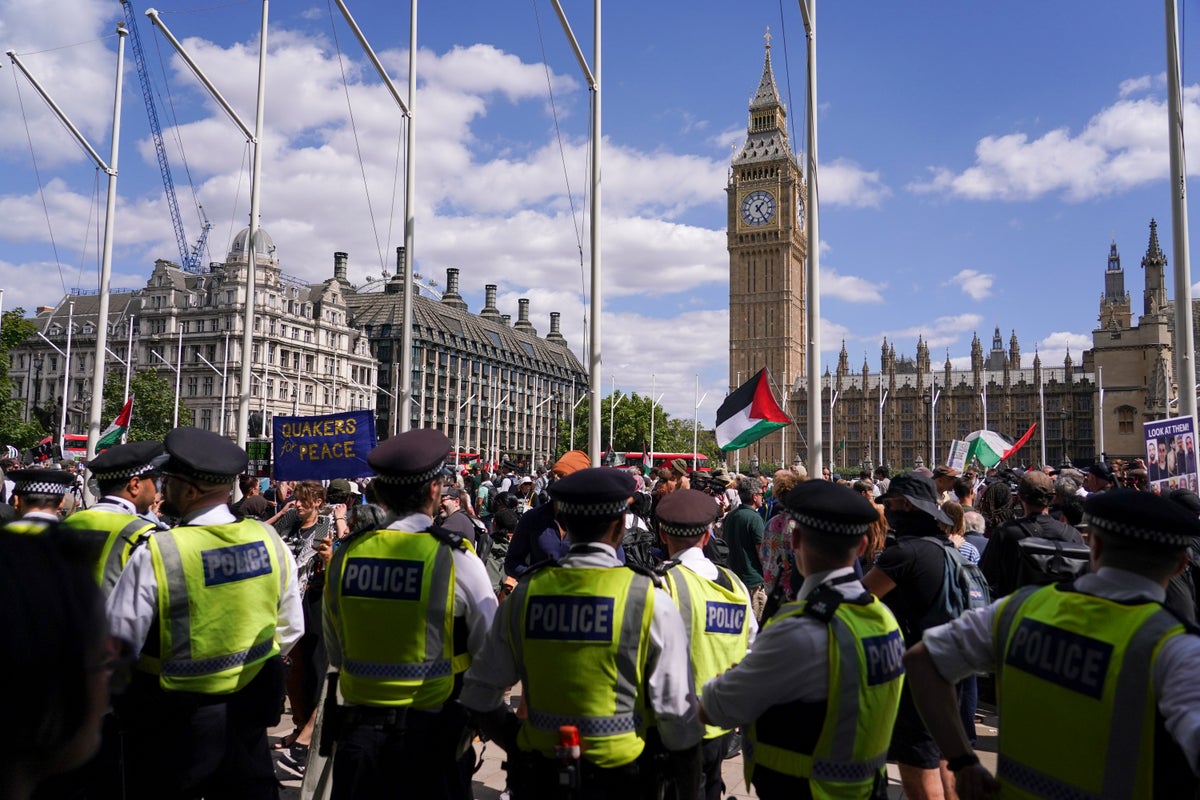 Police arrest demonstrators supporting the Palestine Action group in central London