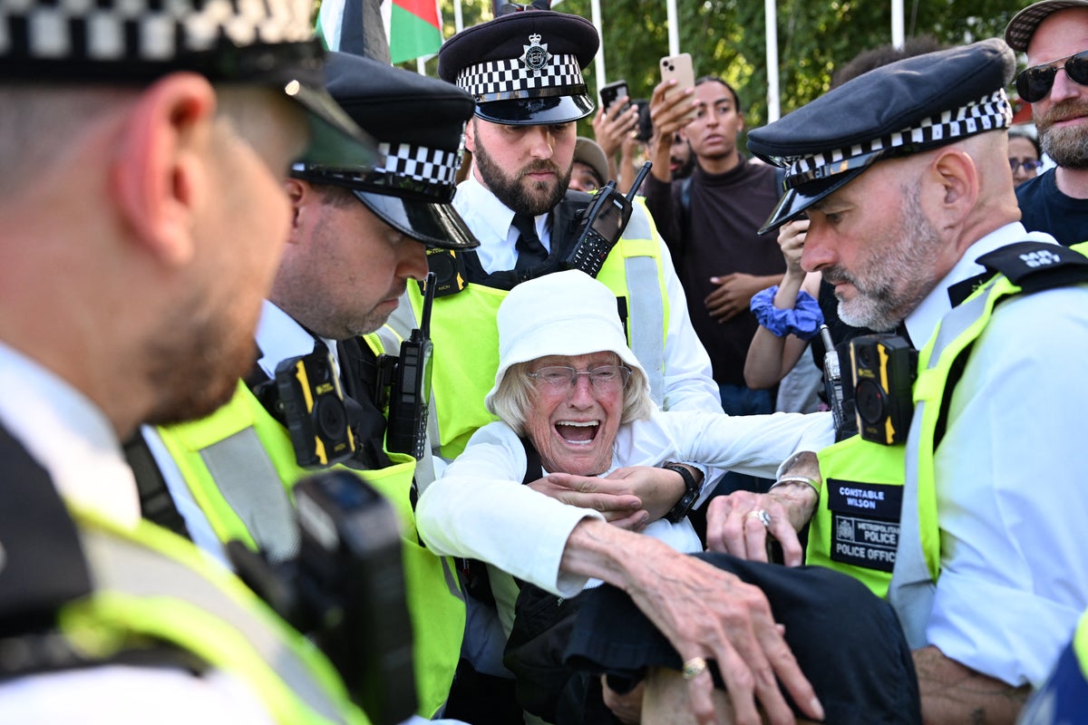 Voices: Arresting hundreds for protesting against a ban on Palestine Action shames us all