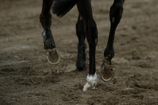<p>British Eventing said in a statement that all competition due to take place on Saturday was abandoned</p>
