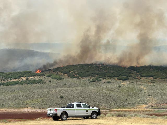 <p>The Lee fire in Colorado</p>